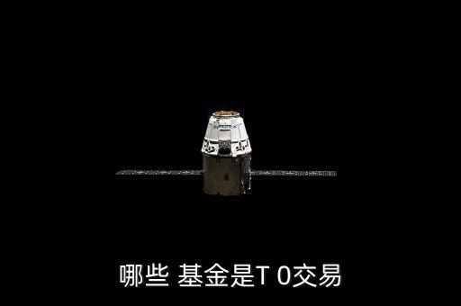 哪些 基金是T 0交易