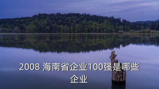 2008 海南省企業(yè)100強(qiáng)是哪些企業(yè)