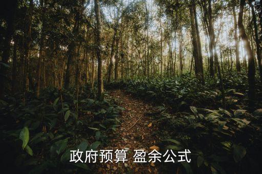 政府預算 盈余公式