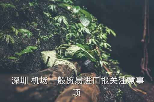  深圳 機(jī)場一般貿(mào)易進(jìn)口報(bào)關(guān)注意事項(xiàng)