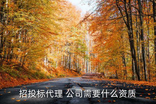 招投標(biāo)代理 公司需要什么資質(zhì)