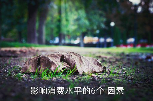  影響消費(fèi)水平的6個(gè) 因素