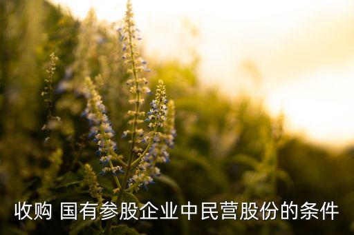 收購 國有參股企業(yè)中民營股份的條件