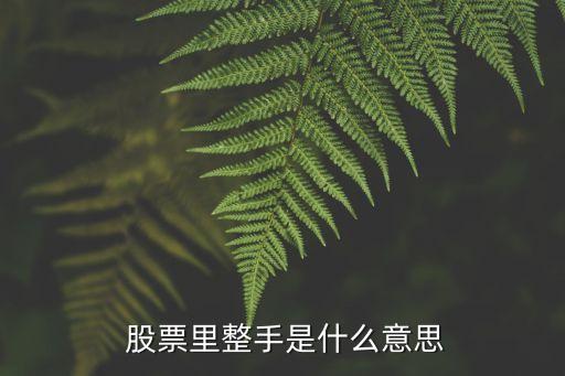  股票里整手是什么意思