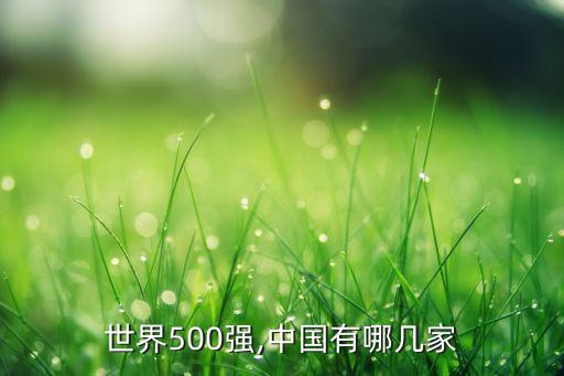 世界500強,中國有哪幾家