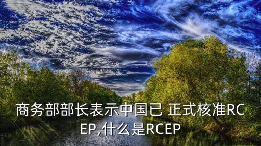 商務(wù)部部長表示中國已 正式核準(zhǔn)RCEP,什么是RCEP