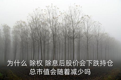 為什么 除權(quán) 除息后股價會下跌持倉總市值會隨著減少嗎