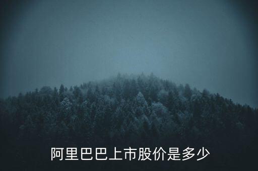  阿里巴巴上市股價是多少