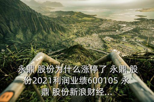  永鼎 股份為什么漲停了 永鼎 股份2021利潤業(yè)績600105 永鼎 股份新浪財經...