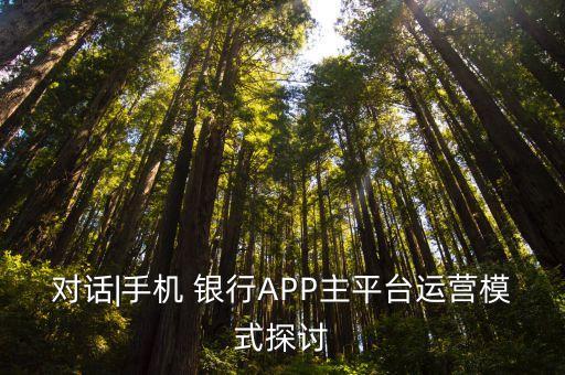 對話|手機(jī) 銀行APP主平臺(tái)運(yùn)營模式探討