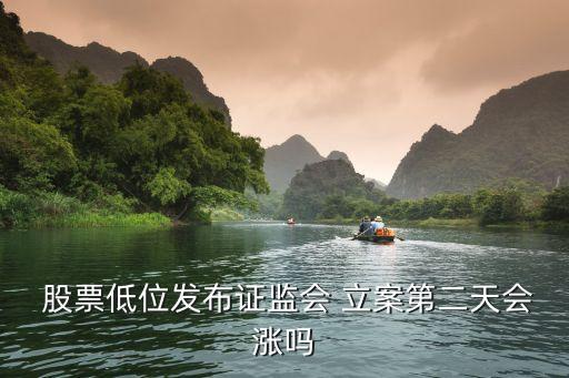  股票低位發(fā)布證監(jiān)會(huì) 立案第二天會(huì)漲嗎