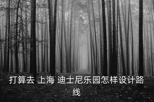 打算去 上海 迪士尼樂(lè)園怎樣設(shè)計(jì)路線(xiàn)