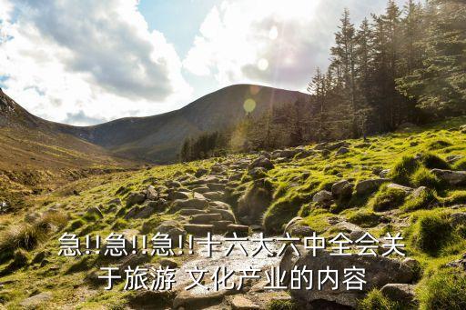 急!!急!!急!!十六大六中全會(huì)關(guān)于旅游 文化產(chǎn)業(yè)的內(nèi)容