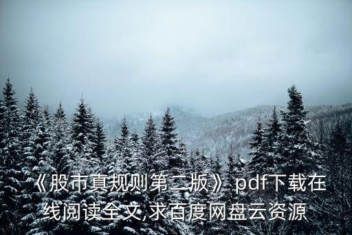 《股市真規(guī)則第二版》 pdf下載在線閱讀全文,求百度網(wǎng)盤云資源