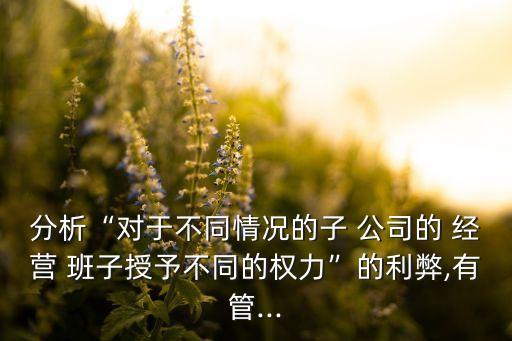 分析“對于不同情況的子 公司的 經(jīng)營 班子授予不同的權(quán)力”的利弊,有管...