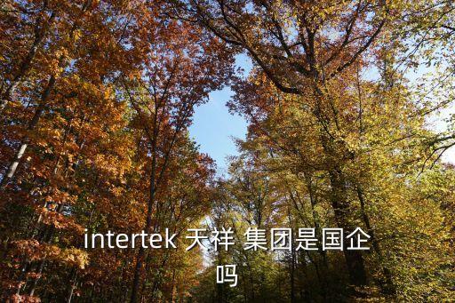 intertek 天祥 集團(tuán)是國(guó)企嗎