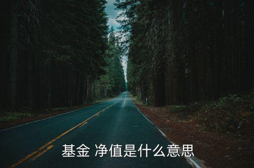  基金 凈值是什么意思