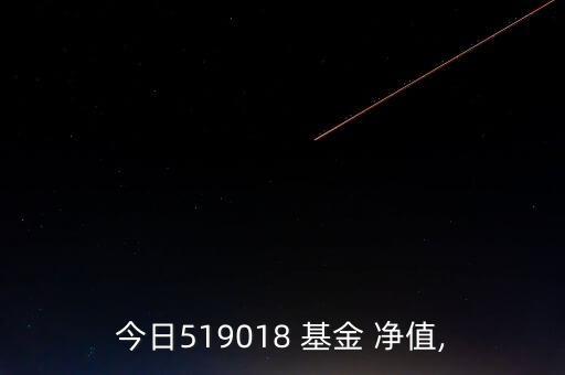 今日519018 基金 凈值,