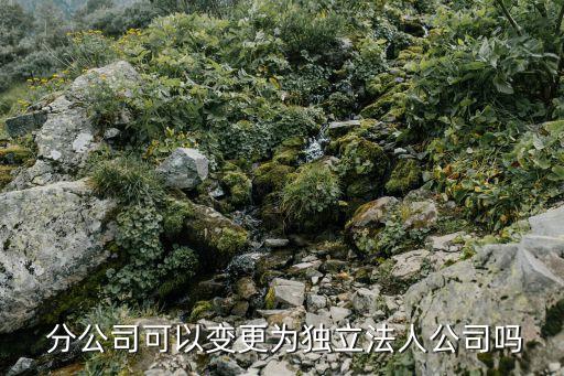  分公司可以變更為獨(dú)立法人公司嗎