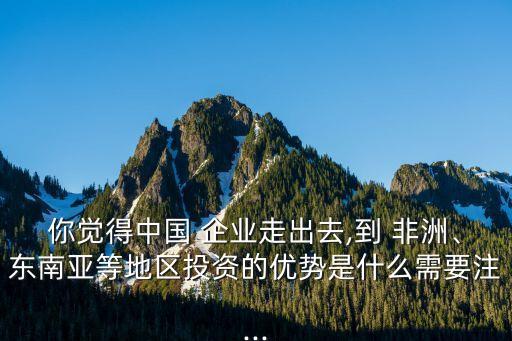 你覺得中國 企業(yè)走出去,到 非洲、東南亞等地區(qū)投資的優(yōu)勢是什么需要注...