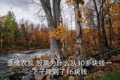 雛鷹農(nóng)牧 股票為什么從30多塊錢一下子降到了16塊錢