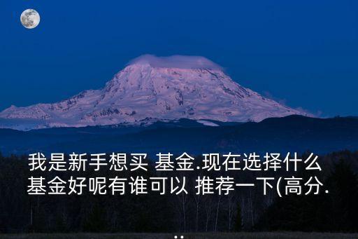 我是新手想買 基金.現(xiàn)在選擇什么 基金好呢有誰可以 推薦一下(高分...