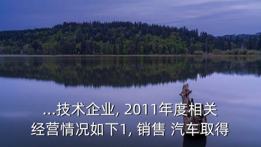 ...技術(shù)企業(yè), 2011年度相關(guān)經(jīng)營(yíng)情況如下1, 銷售 汽車取得