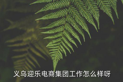 義烏電商貸有限公司,義烏姜考跨境電商有限公司