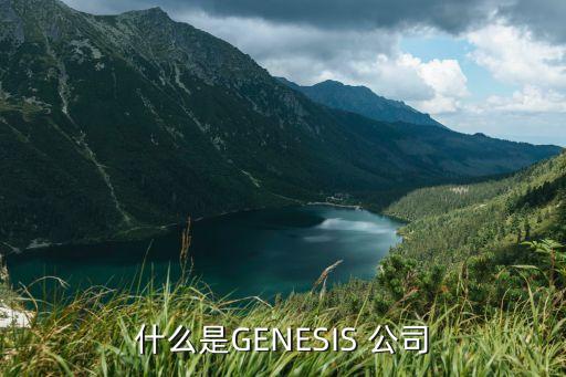 什么是GENESIS 公司