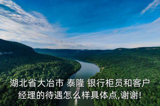 湖北省大冶市 泰隆 銀行柜員和客戶經(jīng)理的待遇怎么樣具體點(diǎn),謝謝!