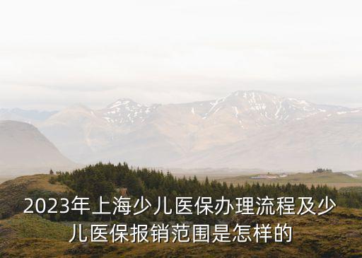 2023年上海少兒醫(yī)保辦理流程及少兒醫(yī)保報銷范圍是怎樣的