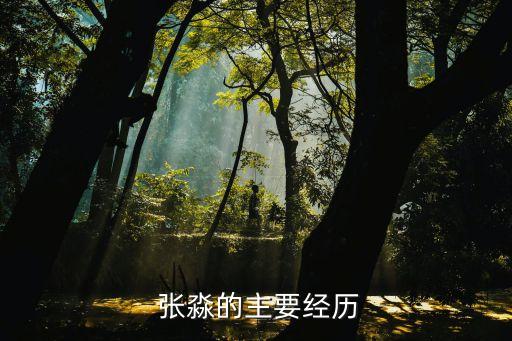  張淼的主要經(jīng)歷