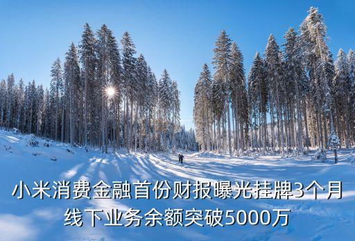 小米消費(fèi)金融首份財報曝光掛牌3個月線下業(yè)務(wù)余額突破5000萬