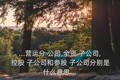 控股子公司與加盟公司的區(qū)別,控股股東和控股子公司的區(qū)別