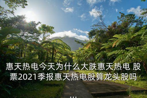 惠天熱電今天為什么大跌惠天熱電 股票2021季報(bào)惠天熱電股算龍頭股嗎...