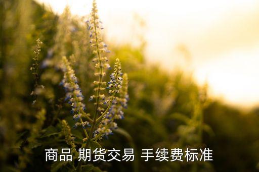 期貨公司手續(xù)費(fèi)一般多少,期貨傭金和手續(xù)費(fèi)多少