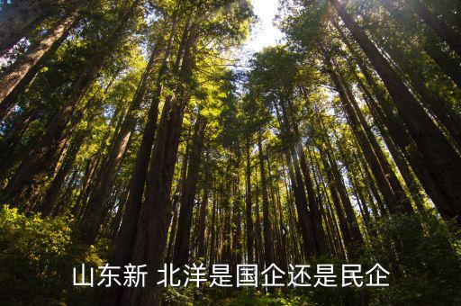 山東新 北洋是國企還是民企