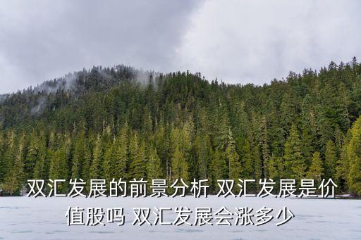 投資雙匯,雙匯投資發(fā)展中心