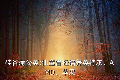 硅谷蒲公英:仙童曾經(jīng)培養(yǎng)英特爾、AMD、蘋果