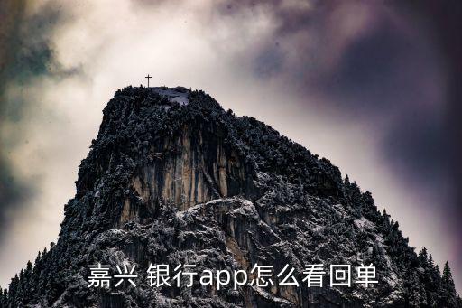  嘉興 銀行app怎么看回單