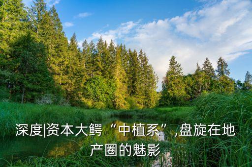 深度|資本大鱷“中植系”,盤旋在地產(chǎn)圈的魅影