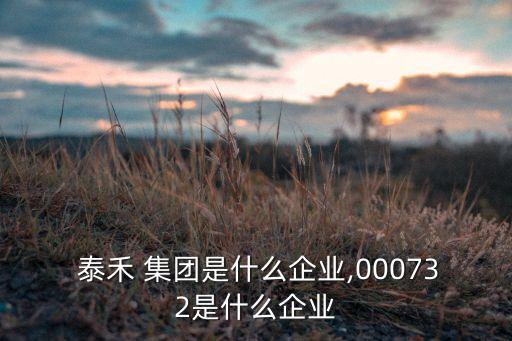  泰禾 集團是什么企業(yè),000732是什么企業(yè)