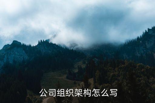 公司管理層級(jí)設(shè)置,公司安全管理層級(jí)是什么