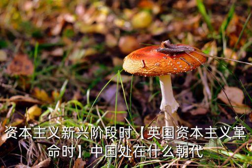 資本主義新興階段時【英國資本主義革命時】中國處在什么朝代