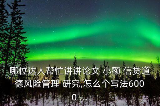 哪位達人幫忙講講論文 小額 信貸道德風險管理 研究,怎么個寫法6000 ...