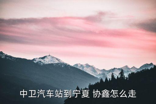 協(xié)鑫新能源東北分公司