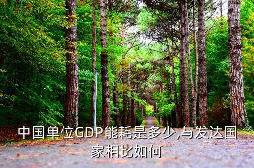 中國單位GDP能耗是多少,與發(fā)達國家相比如何