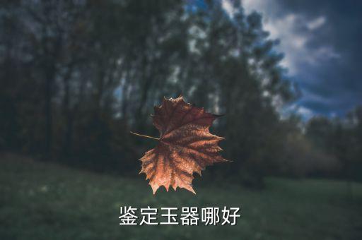 上海文交寶玉石,上海寶玉石協(xié)會會長