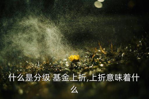 基金份額折算好處多,基金分紅份額折算是什么意思