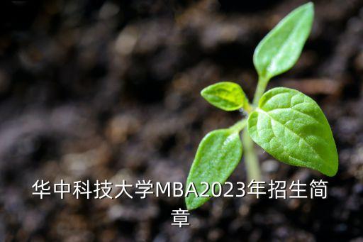 華中科技大學(xué)MBA2023年招生簡(jiǎn)章